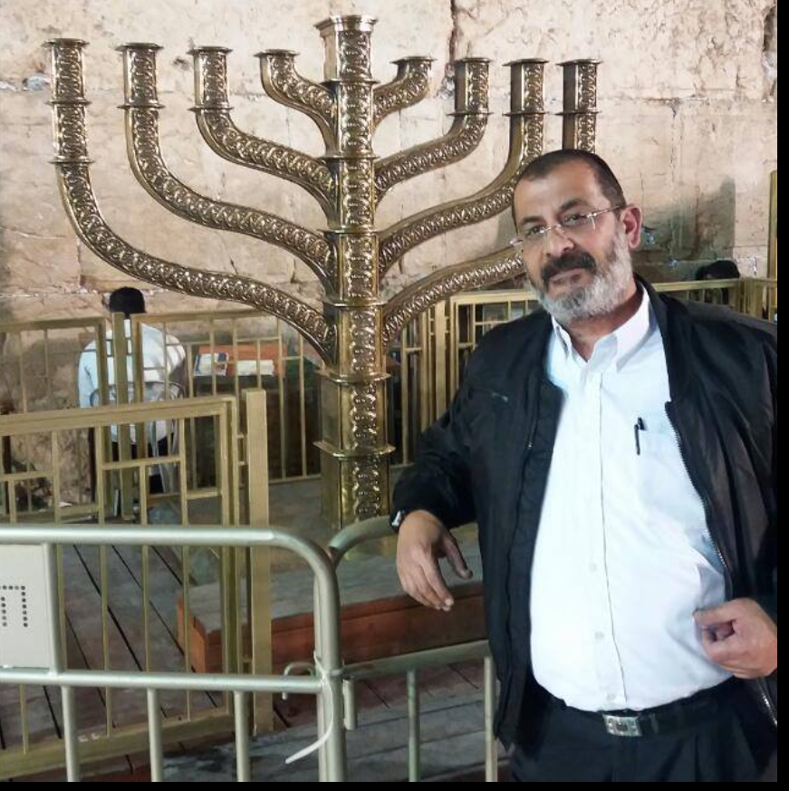 אילן מור-חי