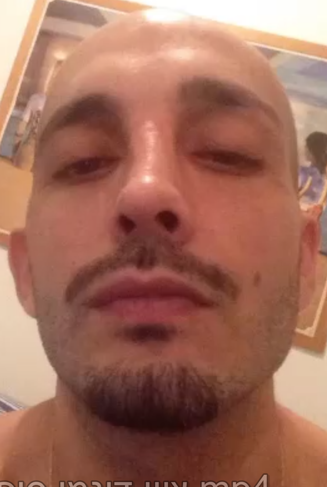 ציון דגמי